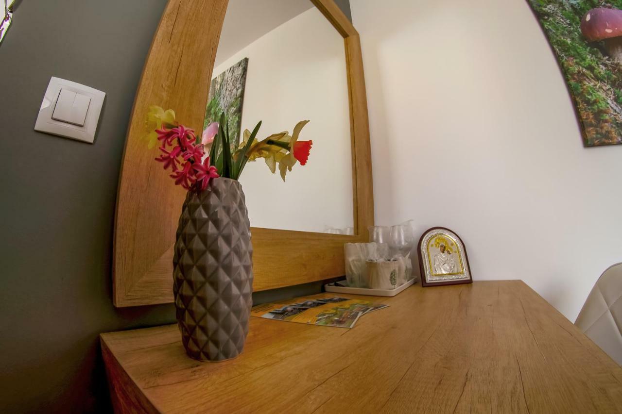 Residence Rooms Bucovina Moldvahosszúmező Kültér fotó
